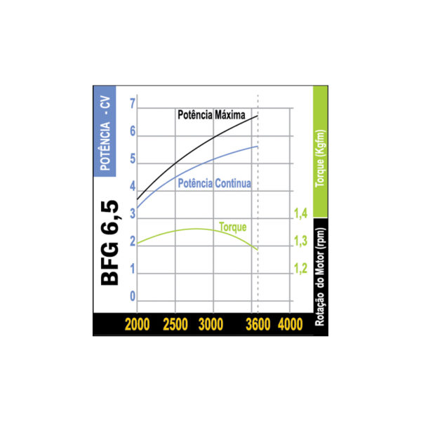 MOTOR BFG/BFGE 6.5 GASOLINA