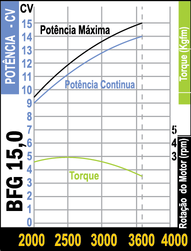 MOTOR BFG/BFGE 15.0 GASOLINA