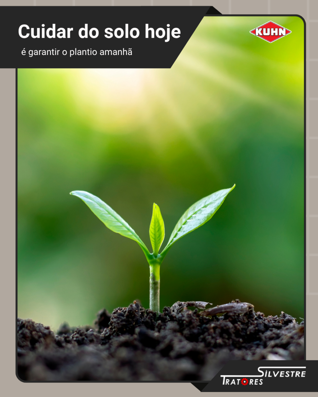 cuidados com solo